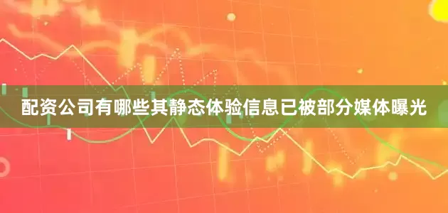 配资公司有哪些其静态体验信息已被部分媒体曝光
